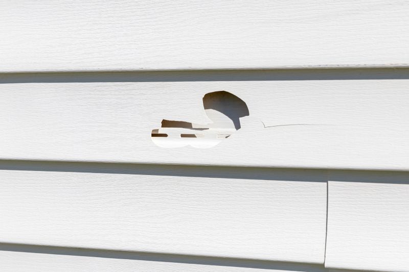 Prompt siding repairs can prevent further damage.
